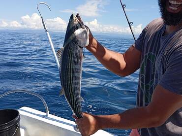 Good half day Whit nice people