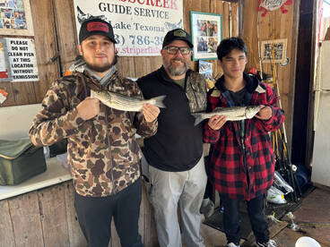 What a different a Day makes! 