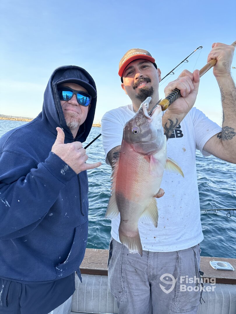 Los Angeles Report Photo 0