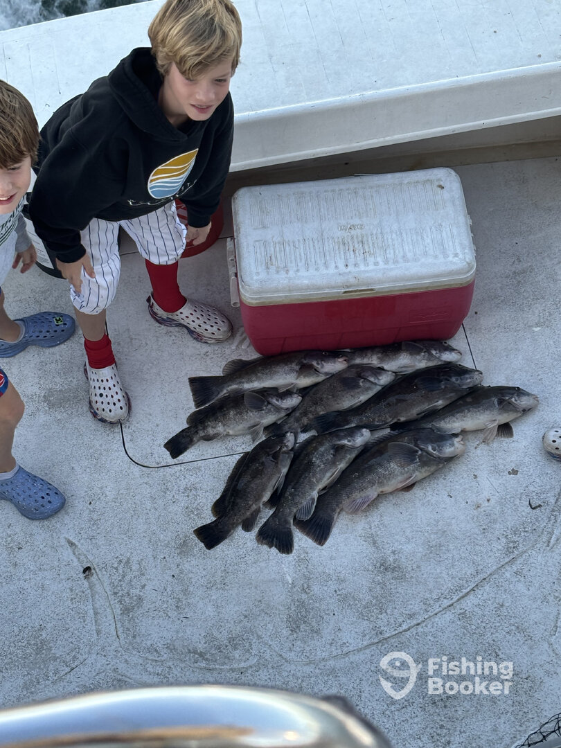 Stamford Report Photo 0