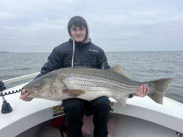 Chesapeake Beach Report Photo 2