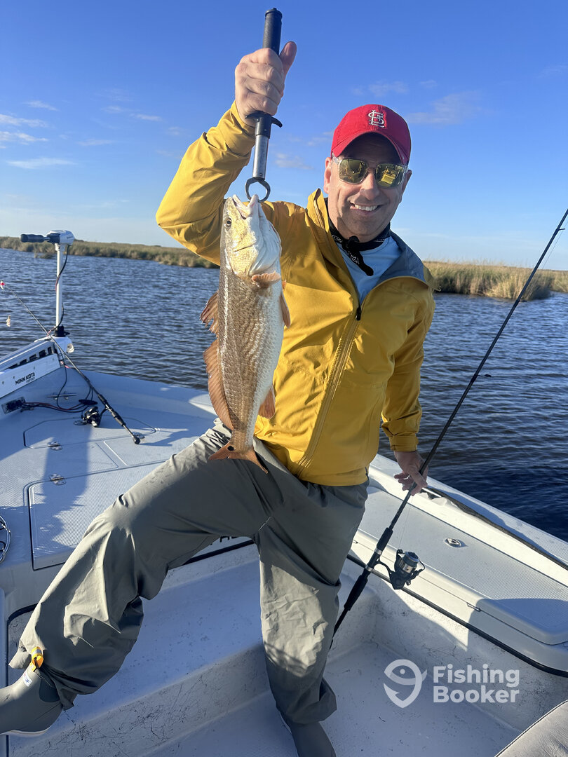 Barataria Report Photo 0