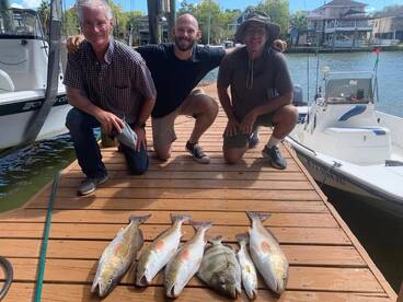 Houston Report Photo 2