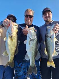 Orlando Report Photo 2