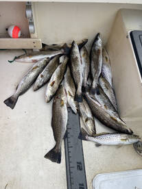 good speckled trout fishing 