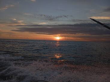 Herradura Report Photo 1