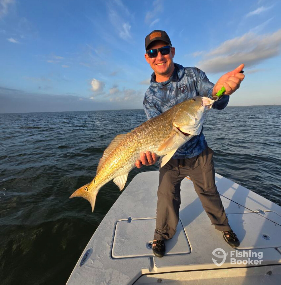 Corpus Christi Report Photo 0