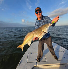 Monster Alert in October