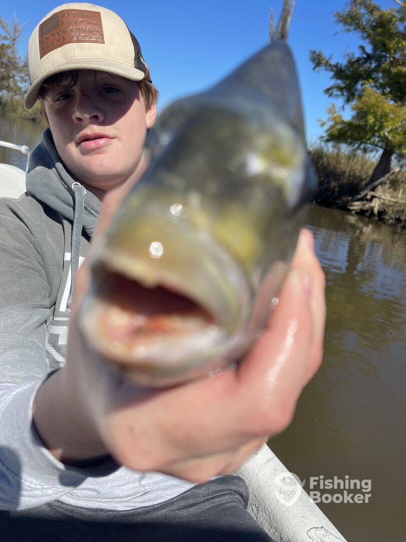 Port St. Joe Report Photo 0