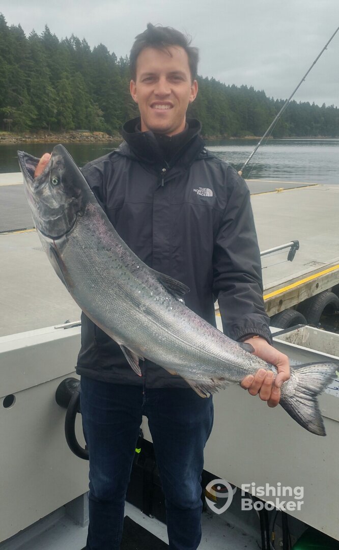 A beautiful Nanaimo Chinook taken out by Entrance Island