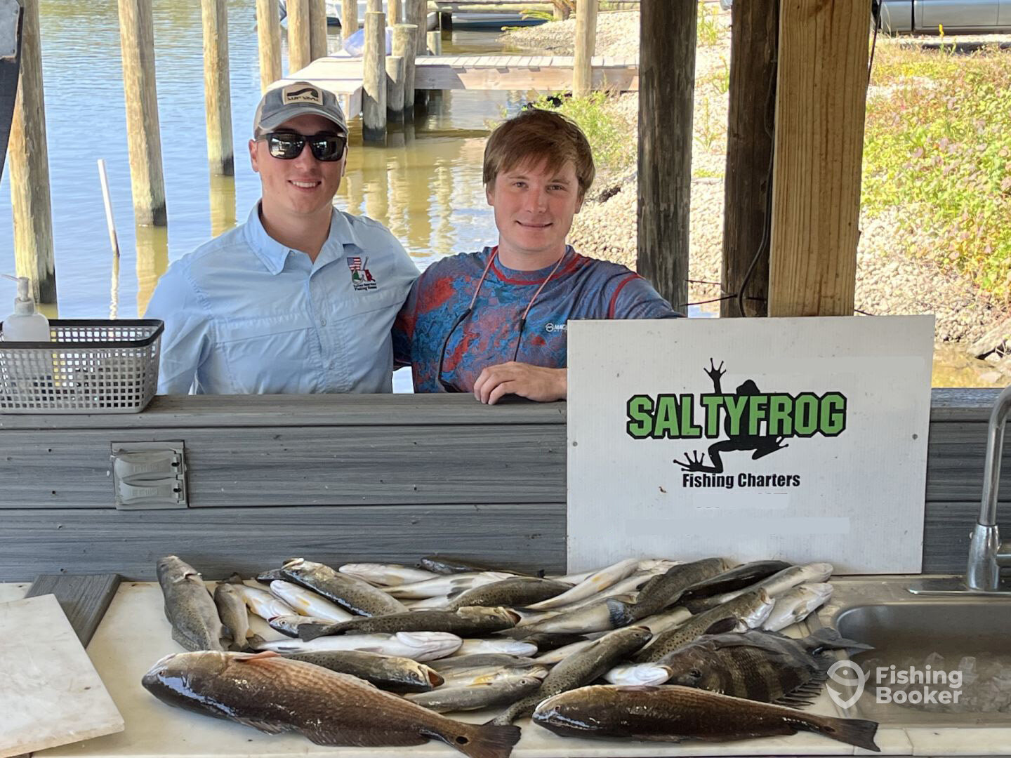 St. Bernard Report Photo 0