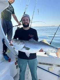 Trophy Bass are Moving!