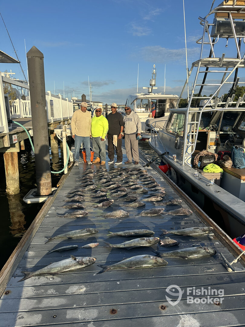 Virginia Beach Report Photo 0