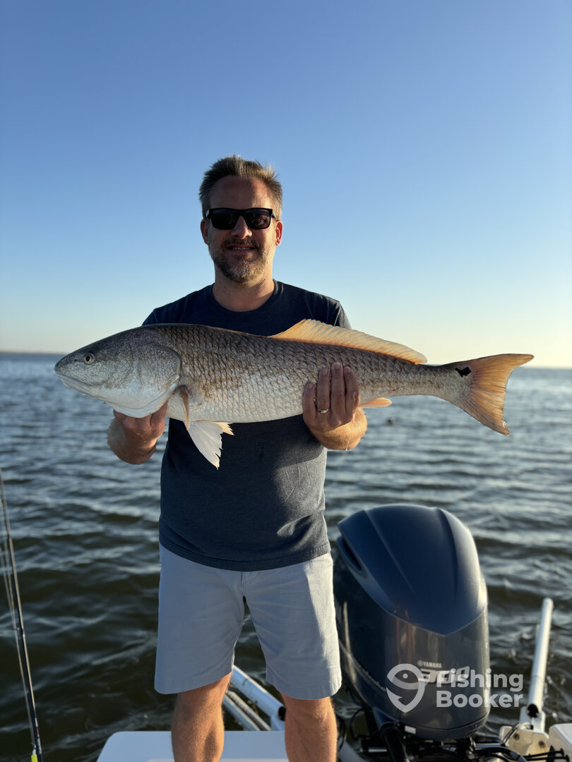 Venice Report Photo 0