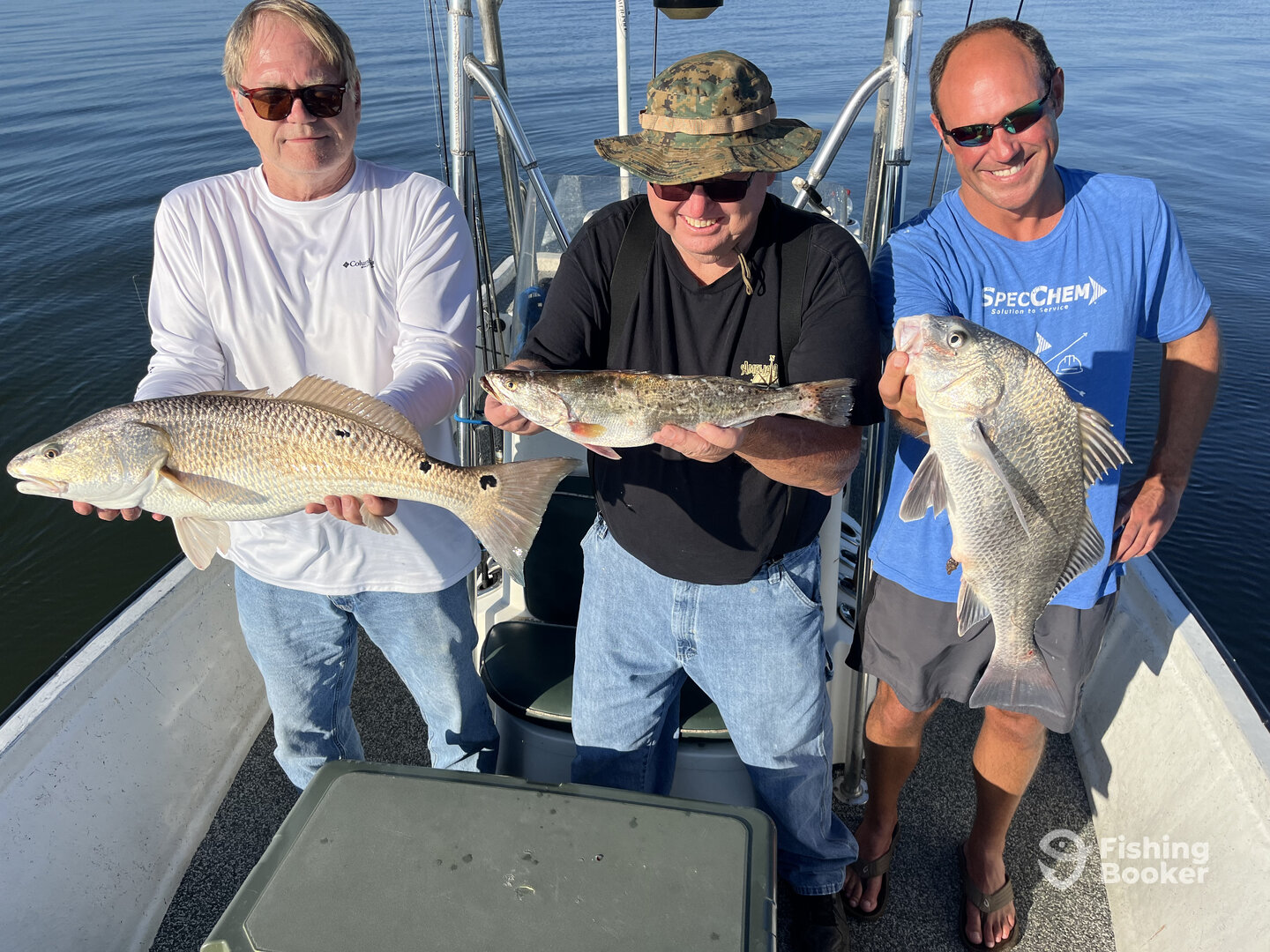 Mandeville Report Photo 0