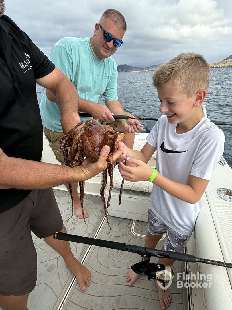 Octopus from the bottom! 