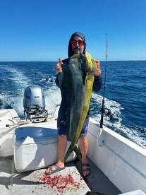 San Jose del Cabo Report Photo 2