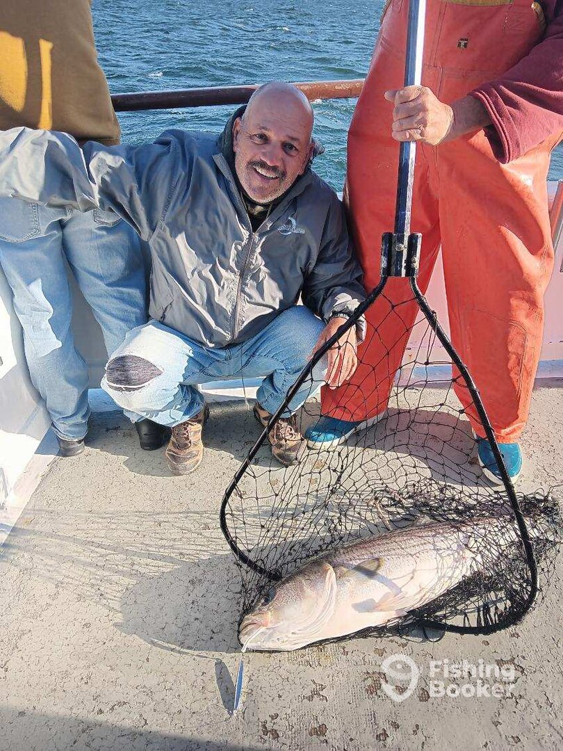 New York City Report Photo 0