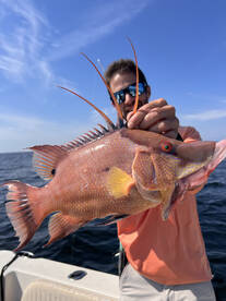 Holmes Beach Report Photo 2