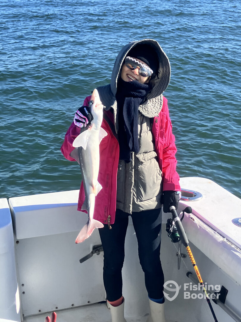 New York City Report Photo 0