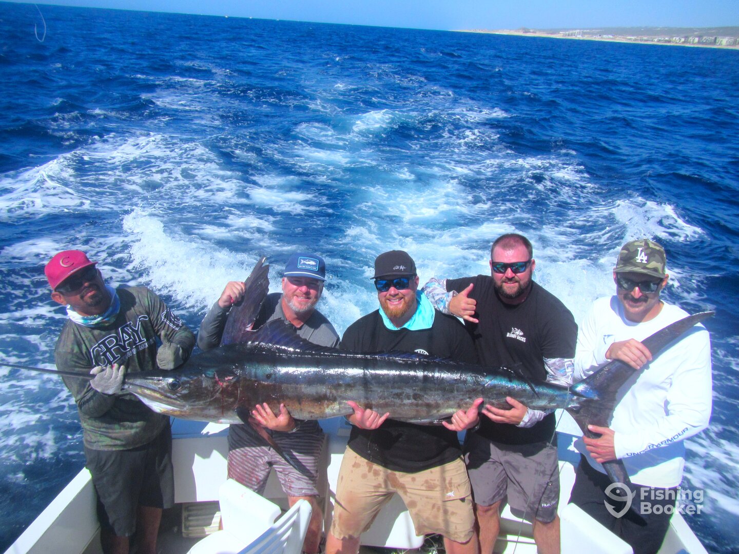 Cabo San Lucas Report Photo 0