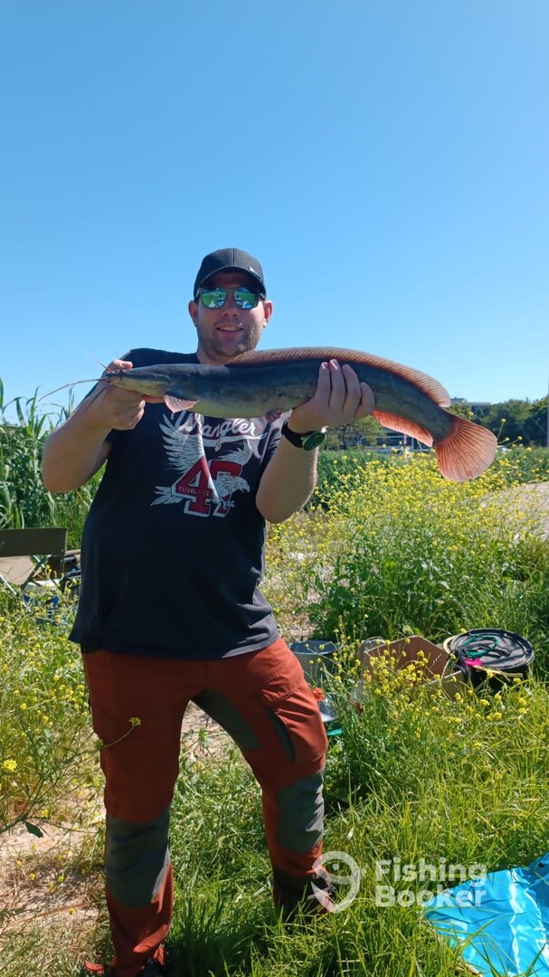 Cape Town Report Photo 0