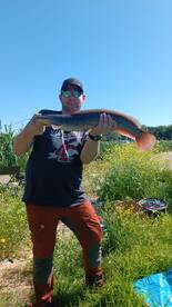 Catfish river fishing with Patrik