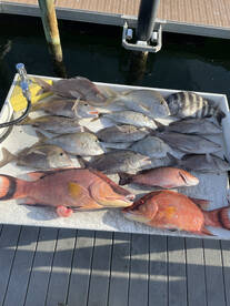 Holmes Beach Report Photo 2