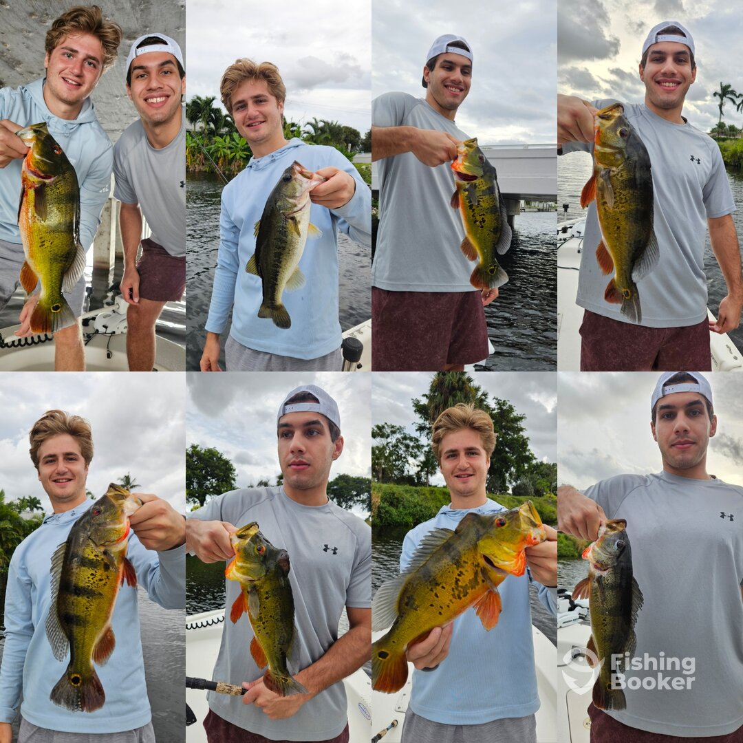 Delray Beach Report Photo 0