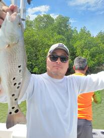 Marco Island Report Photo 2