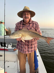 Venice Report Photo 1