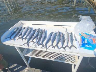 Panama City Report Photo 2