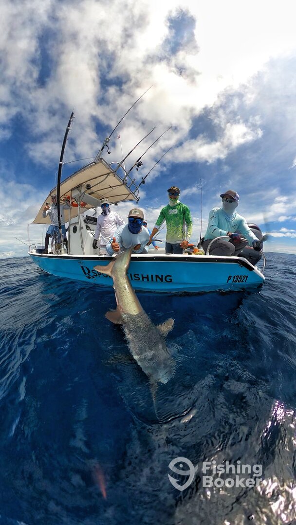 Herradura Report Photo 0