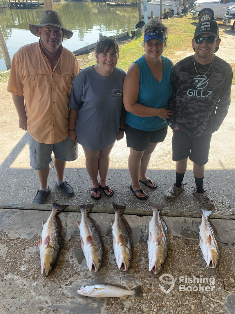 Gulf Shores Report Photo 0