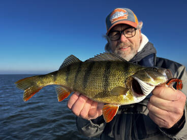 Almere Report Photo 2