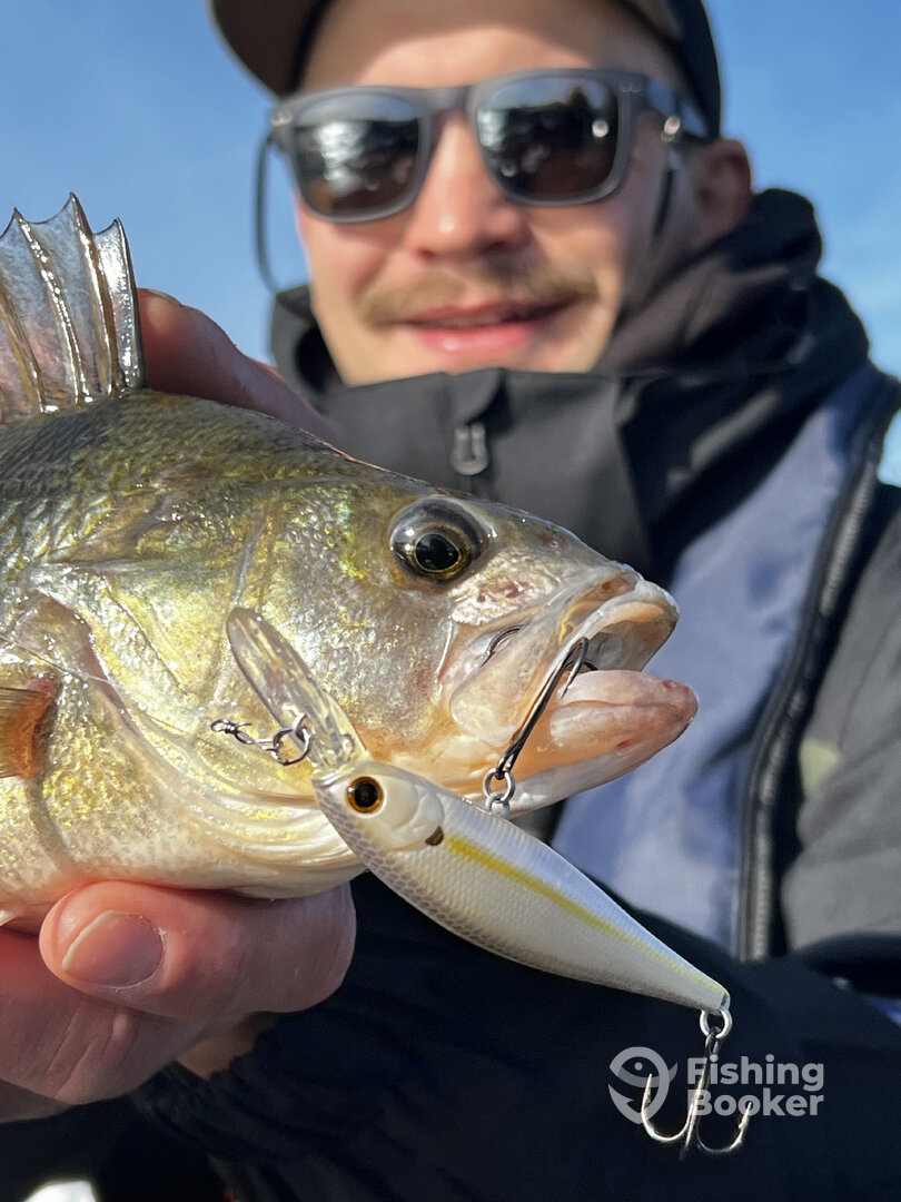 Amsterdam Report Photo 0