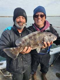 ???Doesnt get much better ???