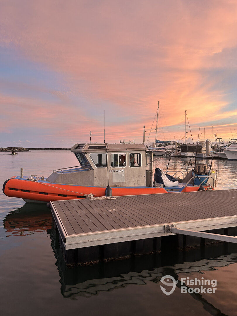 Haleiwa Report Photo 0