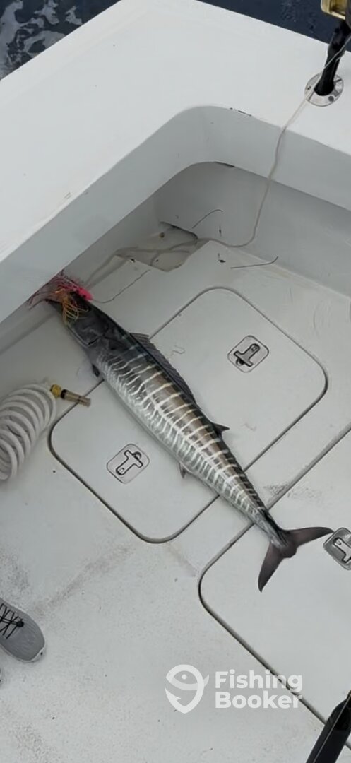 Puerto Aventuras Report Photo 0