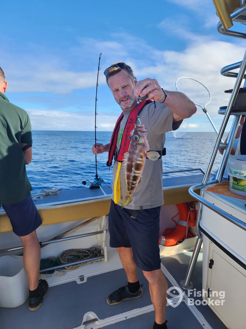 Machico Report Photo 0