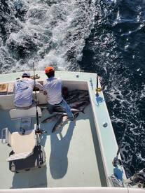 Great way to end the season 