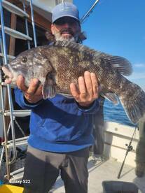 Stamford Report Photo 2