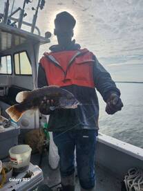 Stamford Report Photo 1