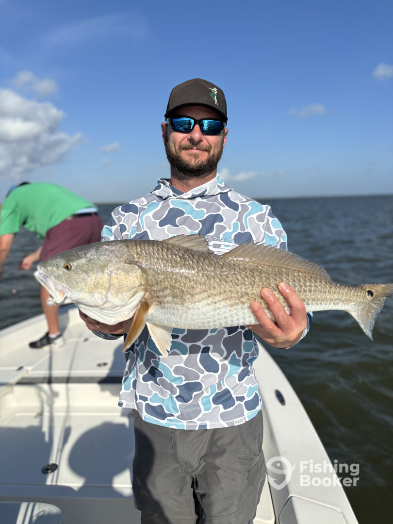 Venice Report Photo 0