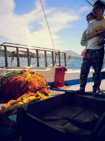 Santorini Report Photo 1