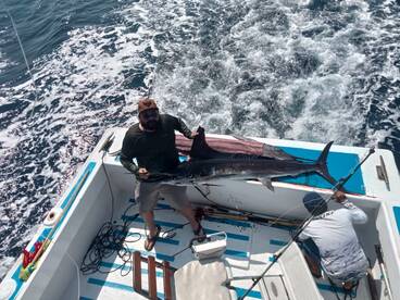 Manzanillo Report Photo 1