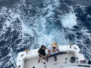 Puerto Aventuras Report Photo 1