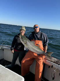 Striped bass galore