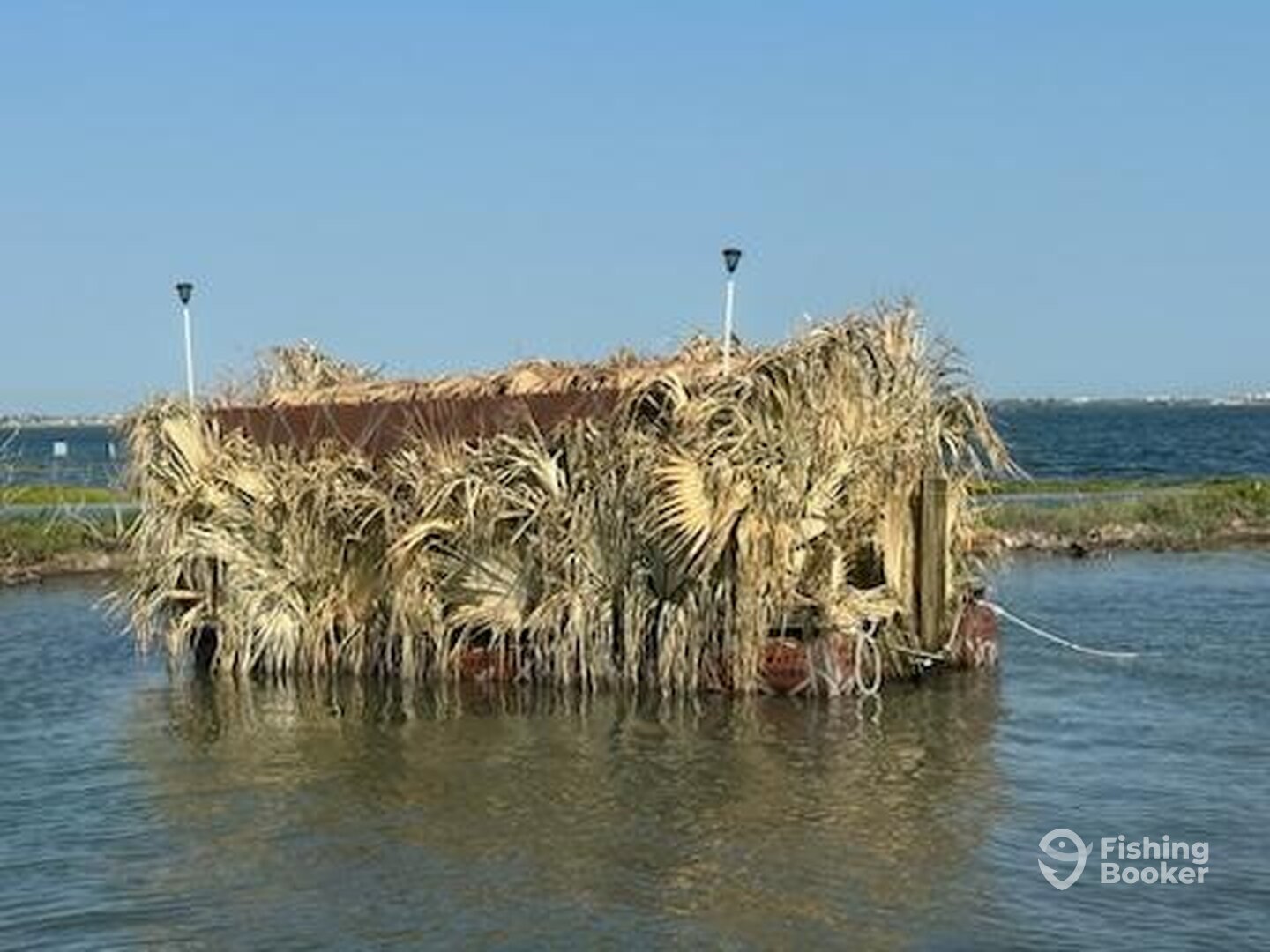 Corpus Christi Report Photo 0