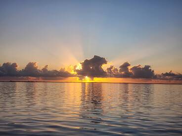 Corpus Christi Report Photo 2